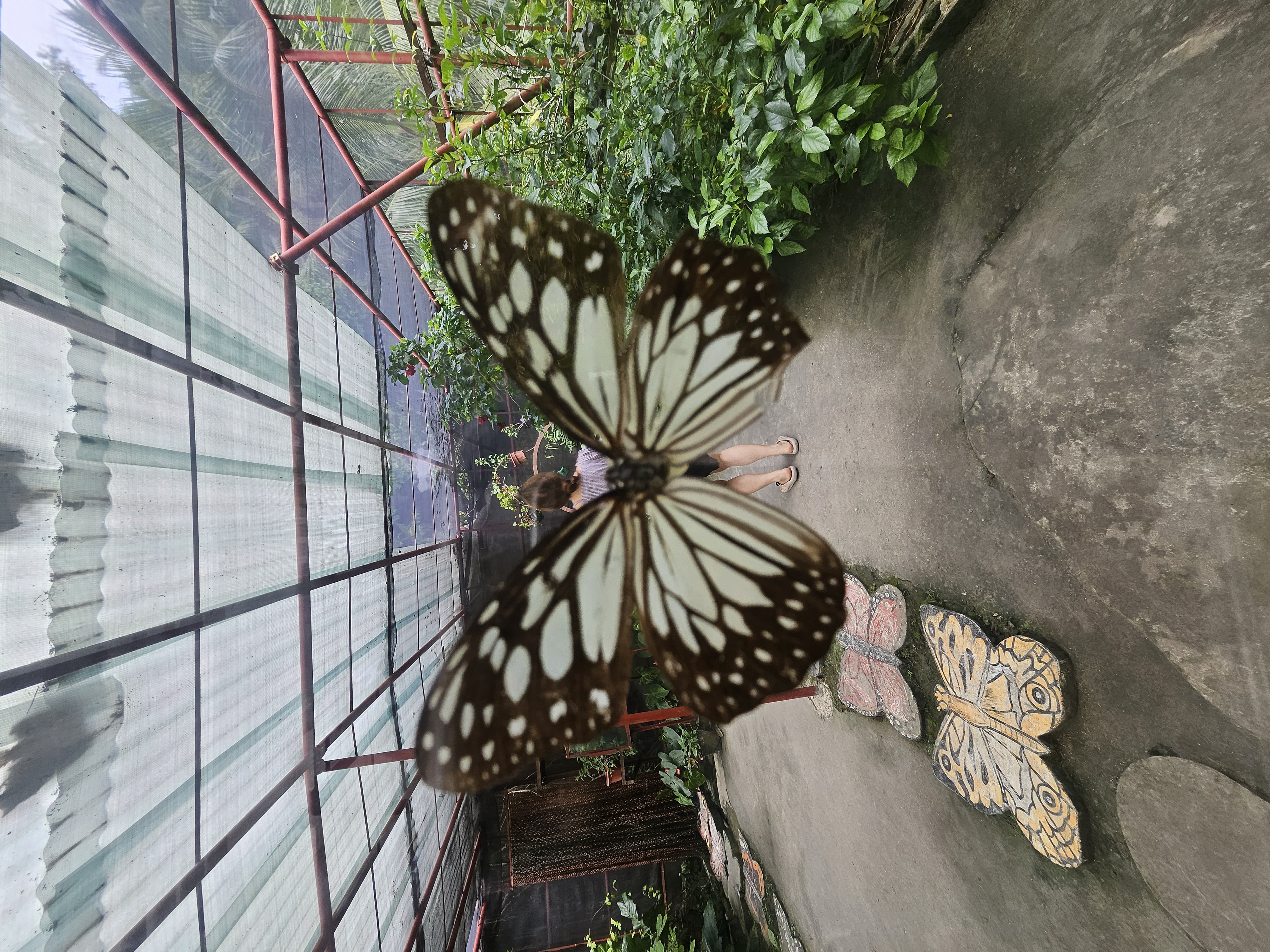 보홀에서의 즐거운 시간