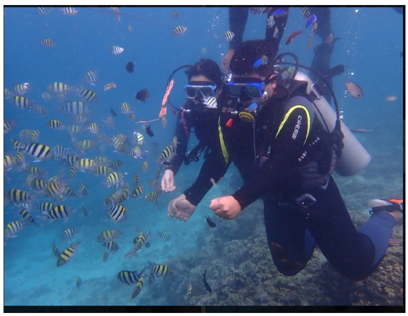 [세부] 세부여행후기