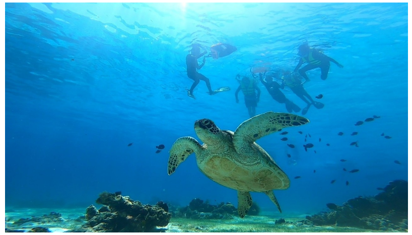 [보홀] (테디 가이드님 최고♡) 가이드맨을 선택한 나를 칭찬합니다ㅋㅋㅋ