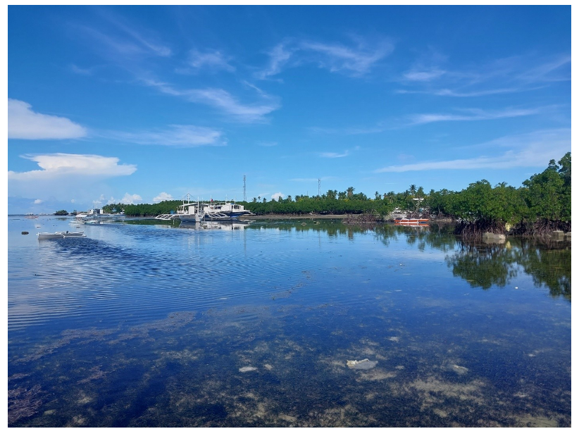 [세부] 11월3일~11월7일 날씨 요정 잭 가이드님과 함께한 세부여행