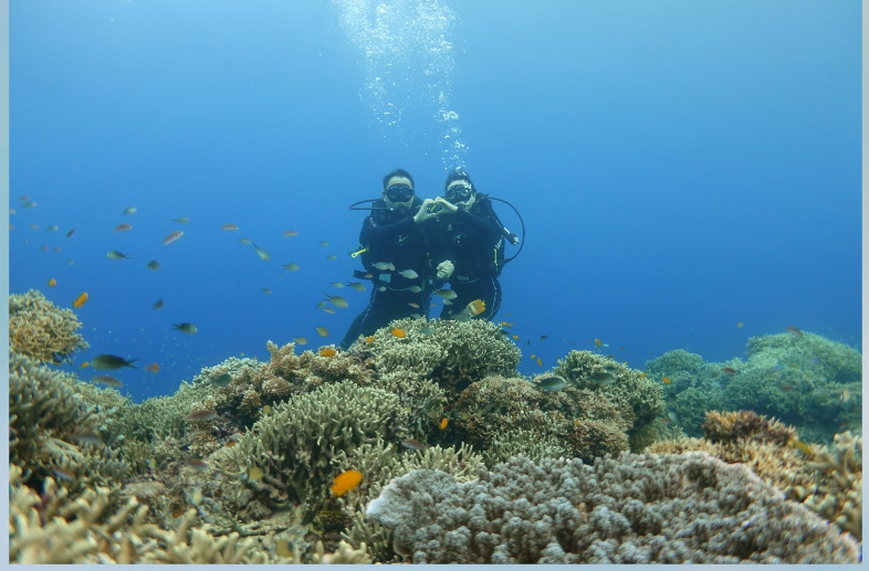 [보홀] 민가이드님과 함께한 3박5일 보홀여행후기입니다^^*