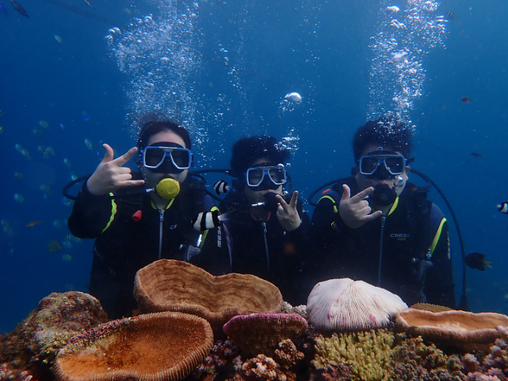 [세부] [여행 후기] 11/14-11/19 (티나 가이드님)