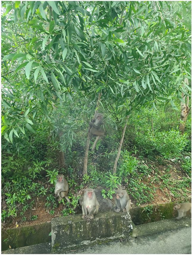 [다낭] 제니와 함께한 3박5일 대가족 여행