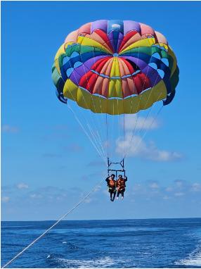 [코타] 평생 잊지 못할 신혼 여행 후기입니다!!