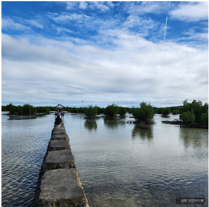 [세부] 채플린 가이드님 덕분에~
