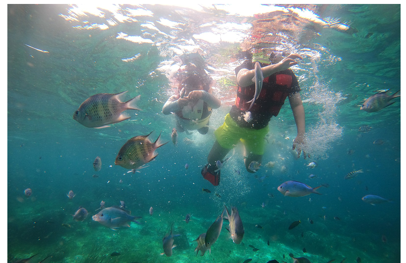 [보홀] 듬직한 데니스 가이드님과 함께 보홀여행