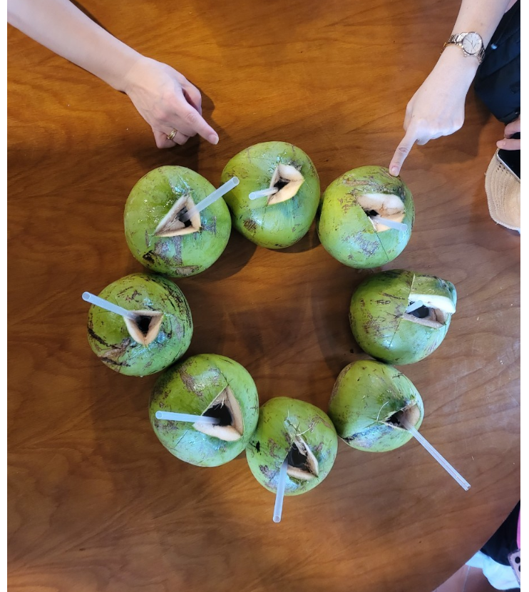 [나트랑] 나트랑 판랑여행^^