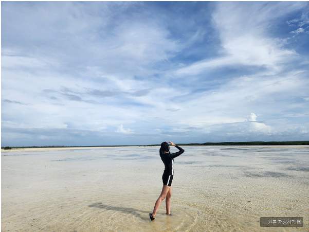 [세부] 샤빌 가이드님과의 꿈같은 3박5일 세부여행 후기