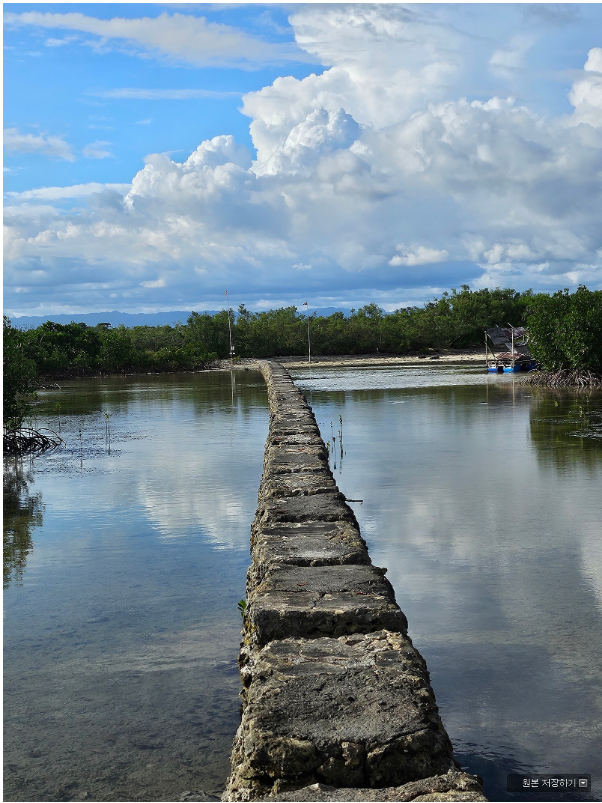 [세부] 나디아님과 세부여행