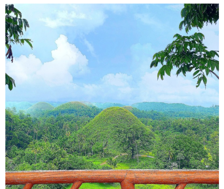 [보홀] 오스카 가이드와 함께한 보홀 여행