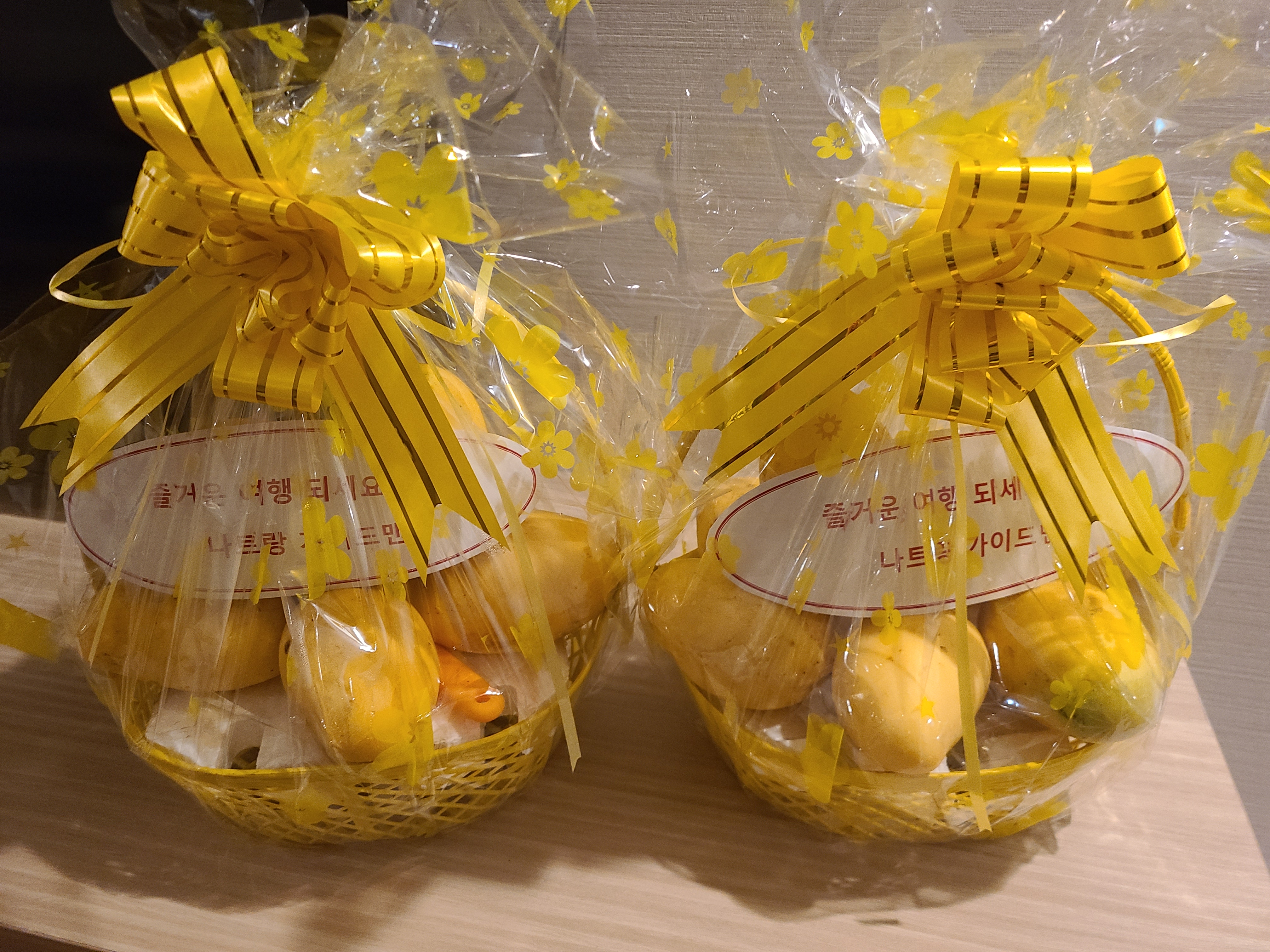 미인 가이드님과 탄 기사님과 3박5일