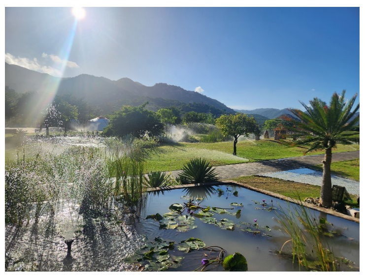 [나트랑] 나트랑 입니다 5일차 판랑 판욜리 사막투어