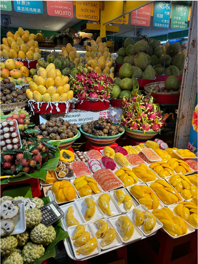 [나트랑] 유리가이드님 탕기사님과 함께한 나트랑 3박5일 투어 후기