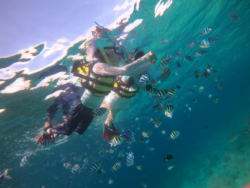 [세부] 잊지못할 가족여행 : Day 1 - 호핑팩 with Hanna~♡