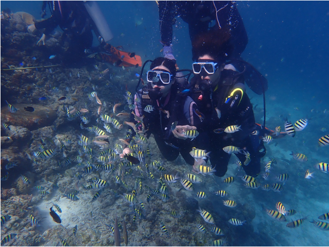 [세부] 세부 여행 7박 8일 (중 3박 4일 패키지 이용) 후기