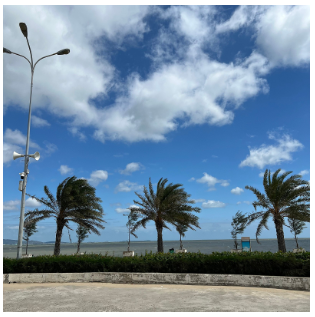 [나트랑] 투띤 가이드님과 함께한 판랑 사막투어~!