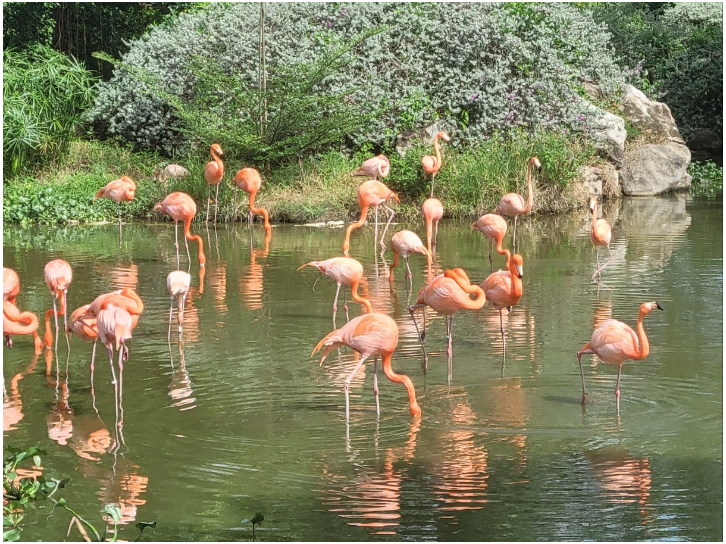 [나트랑] 보탄녹 가이드님 3일 단독 패키지 투어 후기