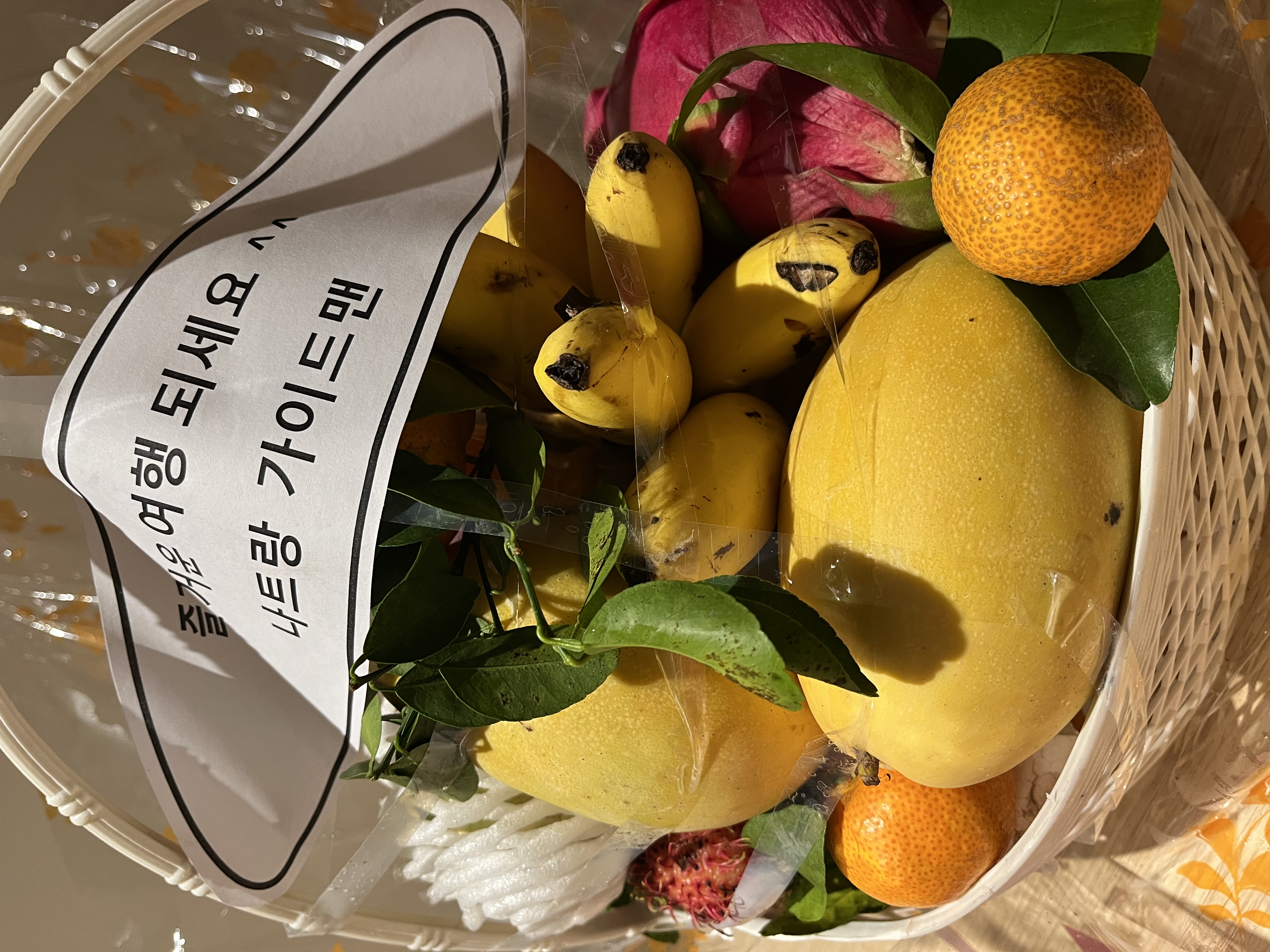 아리 가이드님과 함께한 첫 가족여행