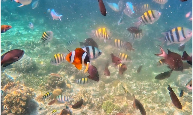 [세부] 세부여행 나디아 가이드님과 함께