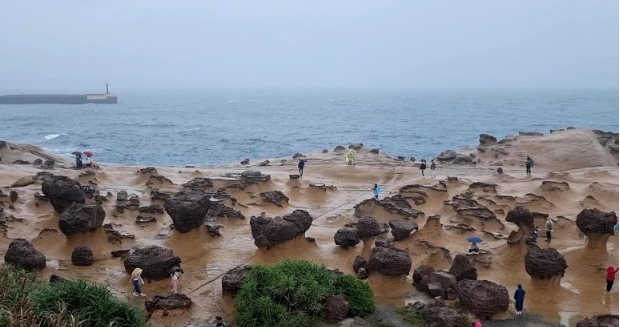 [대만] 대만 여행 2일차, 예류, 스펀, 지우펀 투어 후기