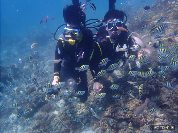 [세부] 세부여행 잘 하고 왔네요..