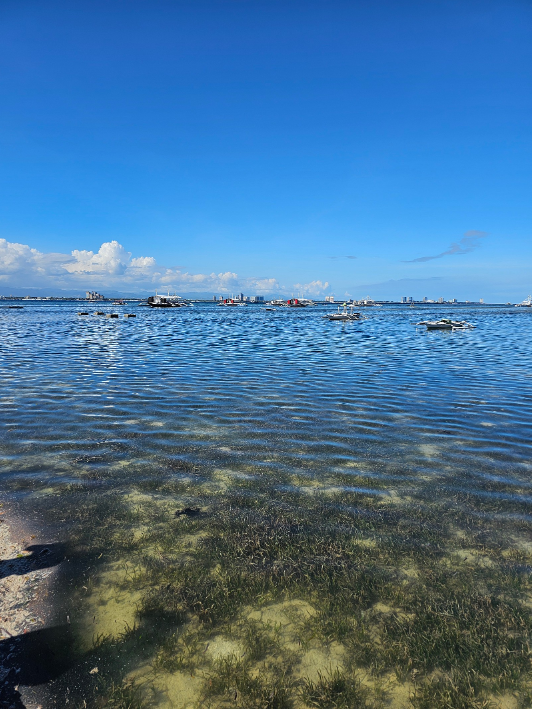 [세부] 즐거운 세부여행 가이드맨 쵝오(잭가이드)