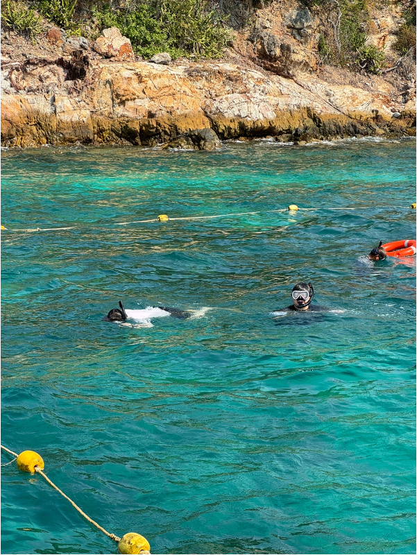 [방콕] 1월 8~12일 가이드 "퐁"님과 함께한 여행후기