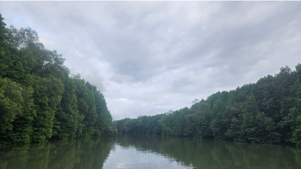 [코타키나발루] 스페셜 땡큐 안젤라 가이드님~~^^