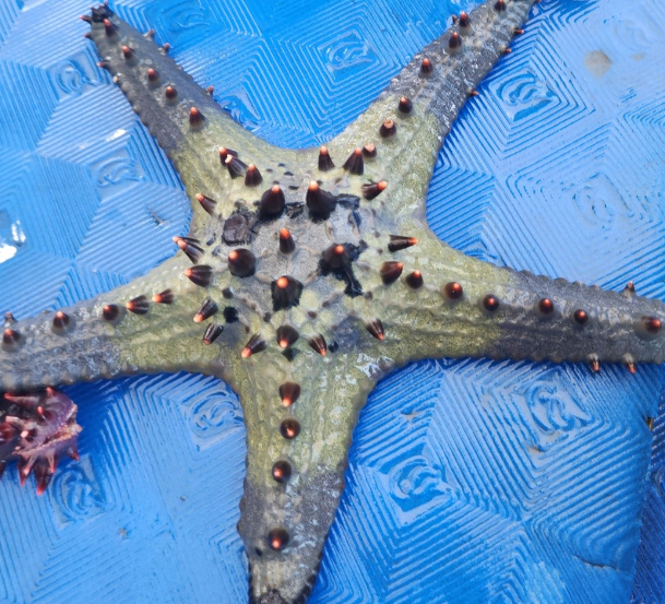 [세부] 잭 가이드와 함께한 여행후기