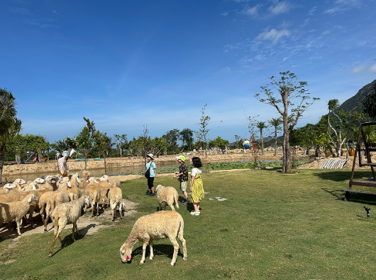 [나트랑] 24. 1. 14. ~ 1. 19. 10명 대가족 나트랑 여행♡(아리가이드님과 함께^^)