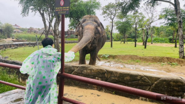 [다낭] 유이 가이드님과 즐거웠던 다낭여행♥