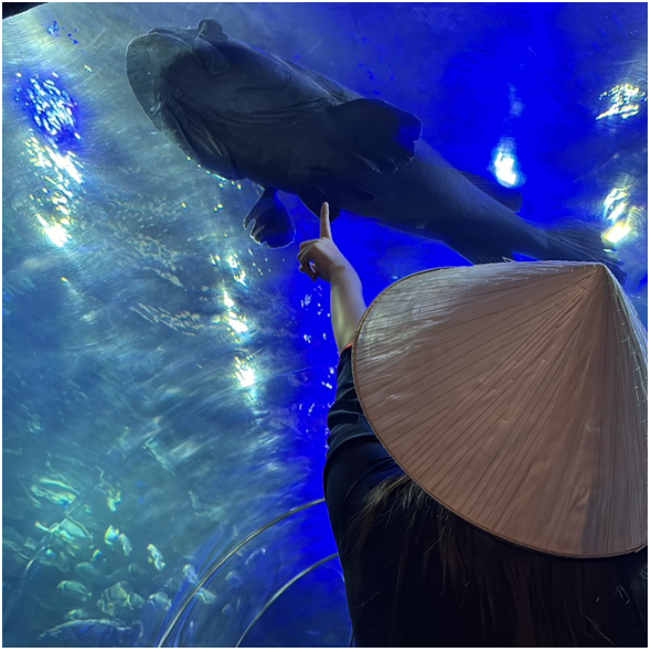 [나트랑] 나트랑 여행: 가이드맨 빈펄팩 완전 야무지게 즐기고 온 상세후기!! (담시장,씀모이, 빈펄, 마사지,엇히엠,cccp,야시장)