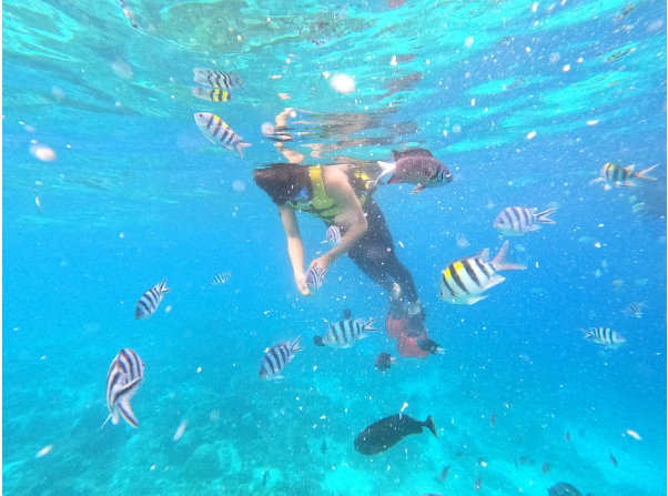 [세부] 고르고 고른 세부호핑투어는 역시 가이드맨!!