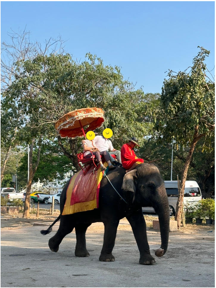 [방콕] AO(오)가이드님과 함께한 즐거운 3박5일 방콕여행