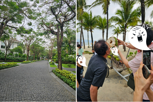 [다낭] 다낭 3박 패키지 with 타오