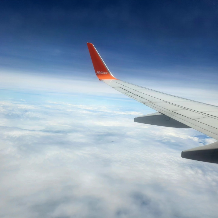 [보홀] 박남매&가이드맨과 함께한 보홀여행♡ 2월13일~16일 어제입국햇지만..다시가고싶네요????????