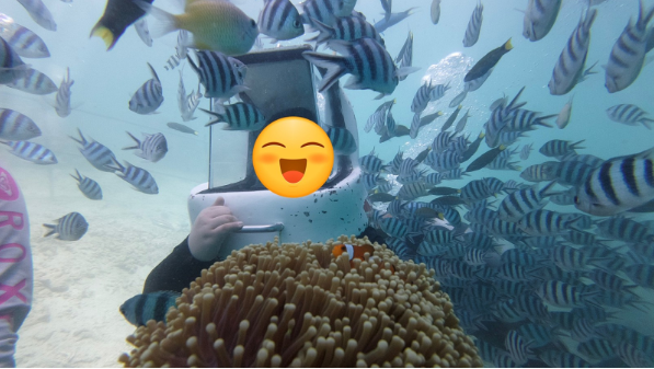 [코타키나발루] 인생샷 건지는데 도움주신 에반 가이드님과 함께한 행복 여행 후기