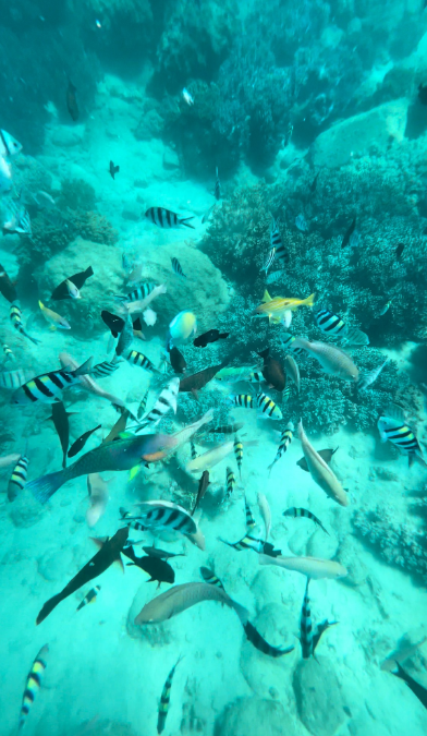 [나트랑] 호핑맨님 너무 고생하세요~~ 팁 더 드렸어요^^