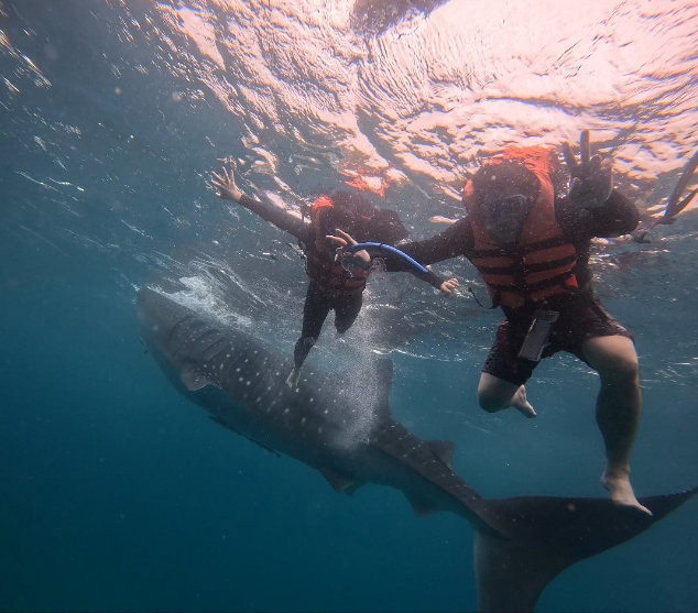 [세부] 비글 남매와 떠나는 해외여행
