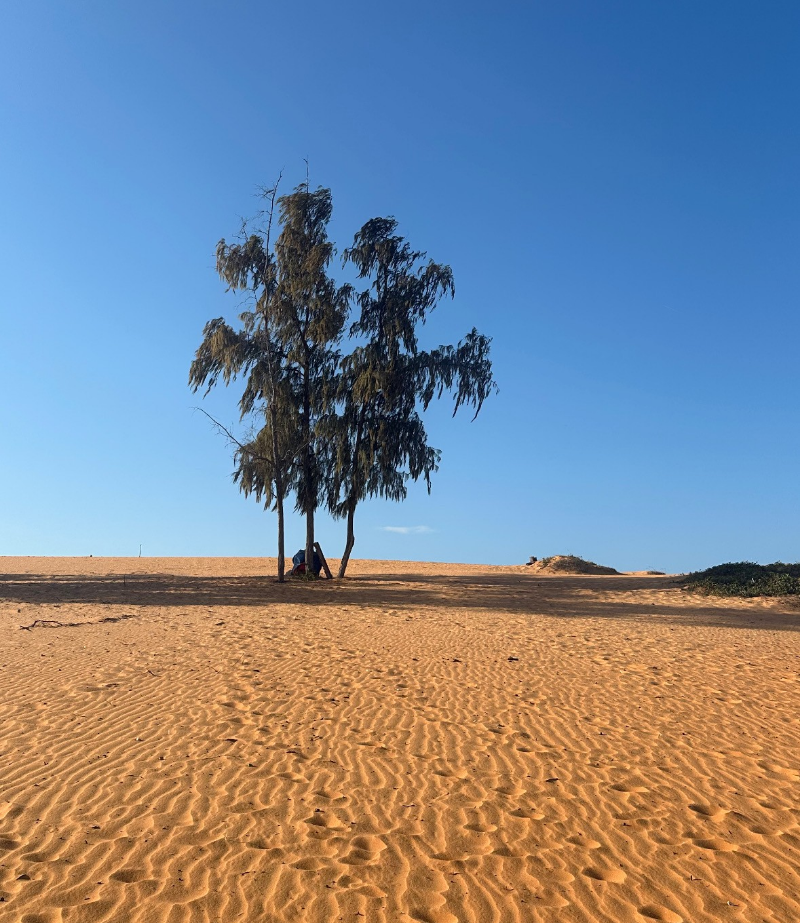 [호치민] 베트남 호치민 (타오 가이드) 여행 ❤️