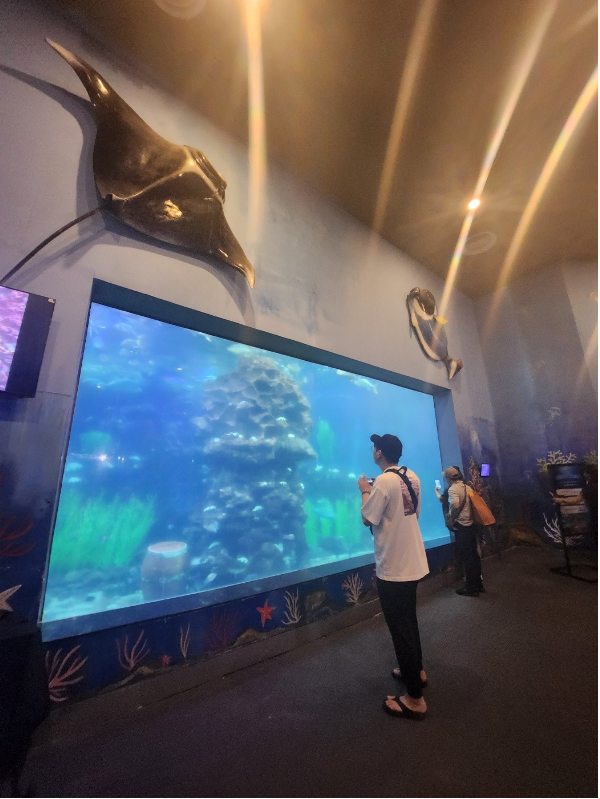 [나트랑] 24년 2월19일~2월23일까지의 나트랑여행(문희가이드)후기