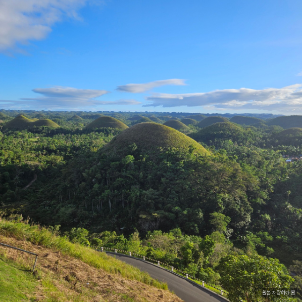 [보홀] 벤가이드님 잘지내시지요?