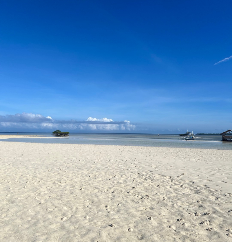 [보라카이] 성공적인 보홀 여행