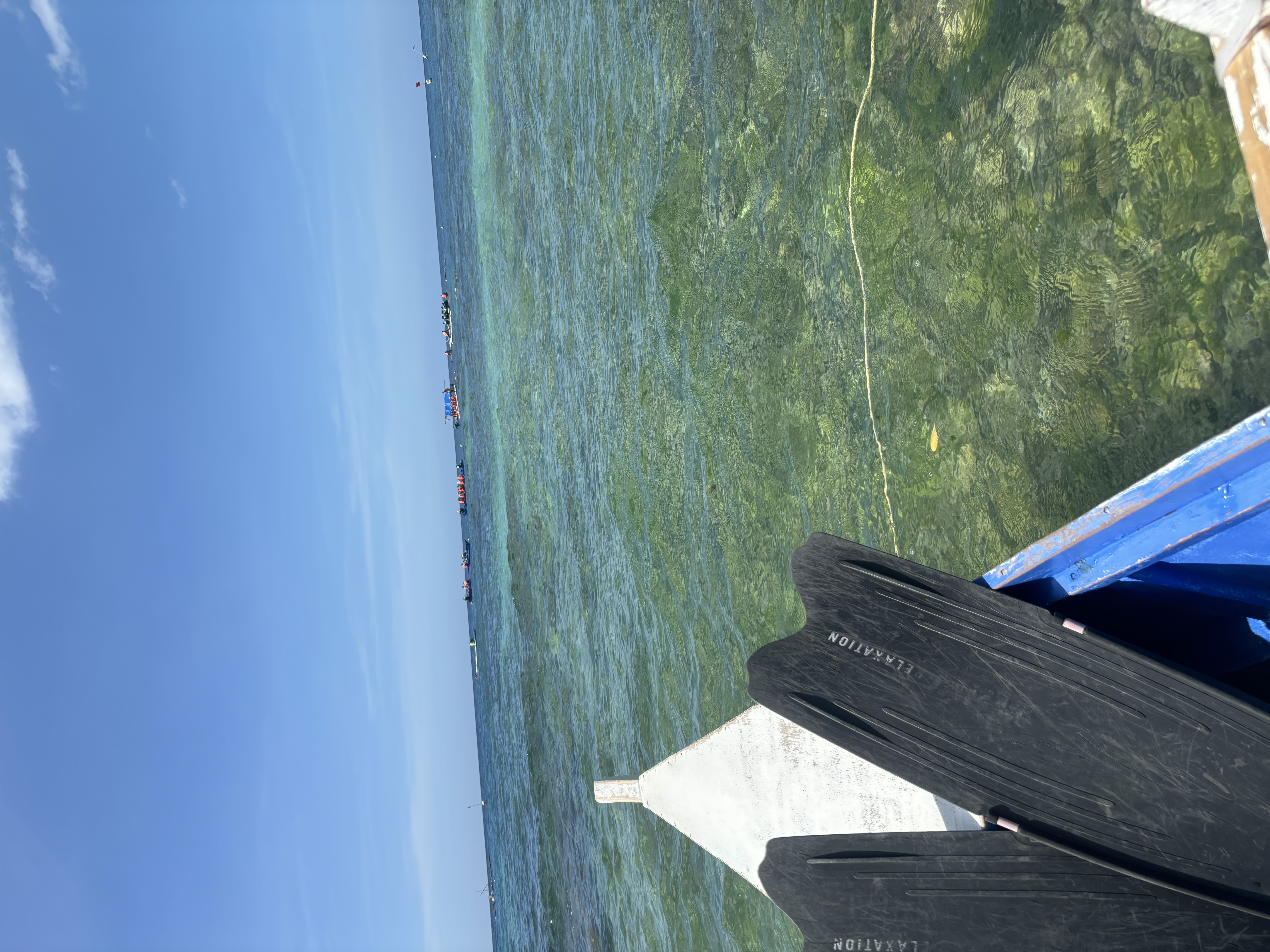 후회없는 보홀여행!! 가이드맨과 함께