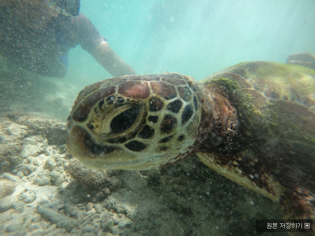 [세부] 우리가족 첫 해외여행으로 세부 다녀왔어요!!