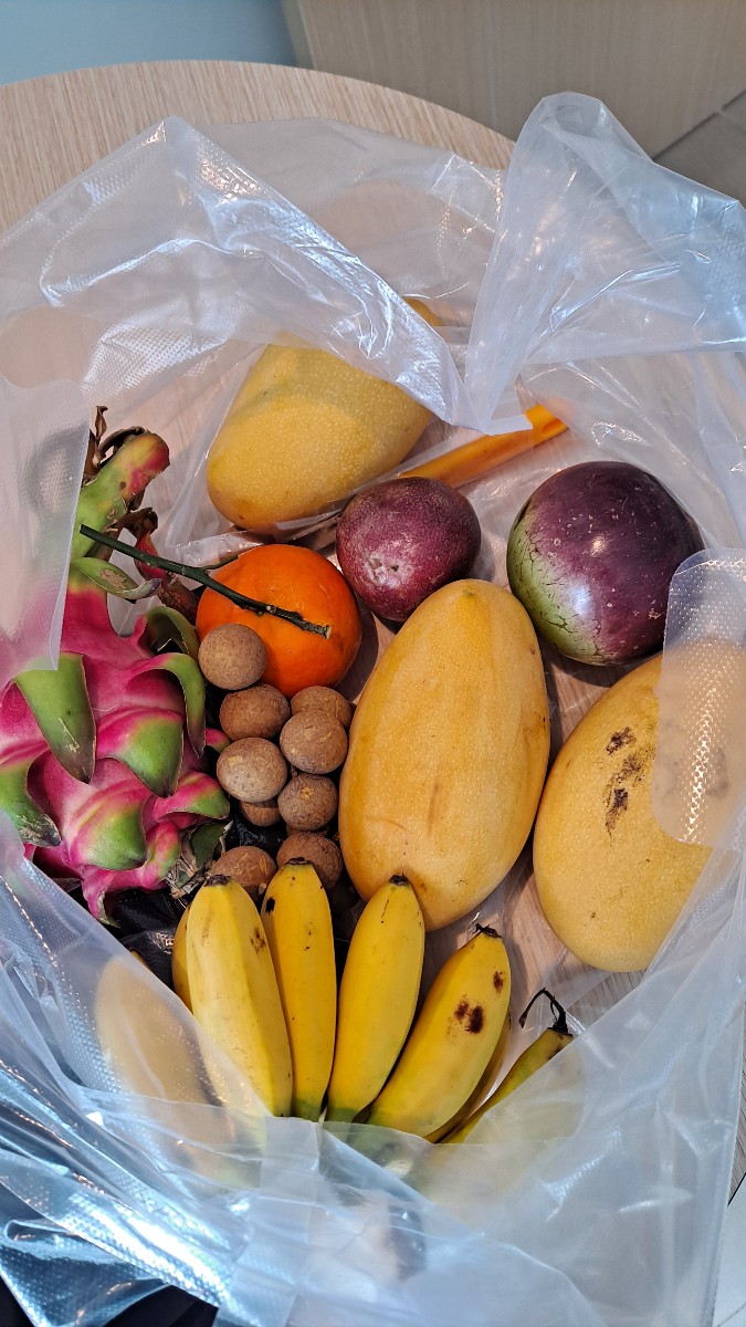 MBTI P들의 나트랑 가족여행!(with 보탄녹 가이드님????)