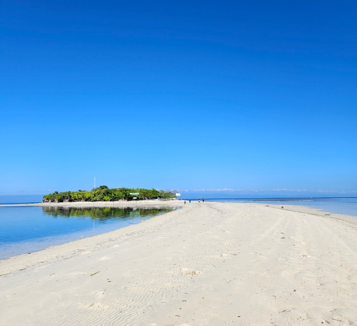 [보홀] 민가이드님 감사해요