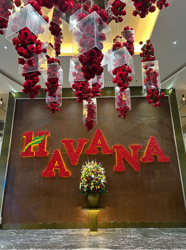 [나트랑] [여행후기] 판랑사막+나트랑핵심팩 3박5일(with 가인가이드님❤️탕기사님❤️)