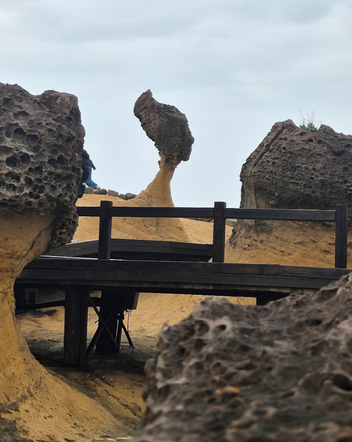 [대만] 대만가보좌!팀의 jenny 가이드와 함께한 타이페이 일정기