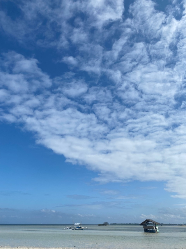 [보홀] 보홀 너무 좋아요!!또 가고 싶습니다!!(보미 가이드님^^)